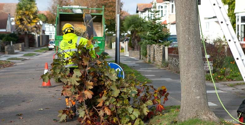 disposing of tree waste into wood chipper