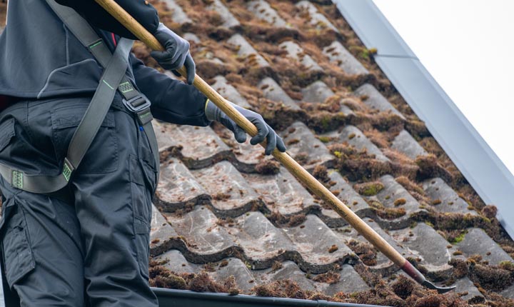 scraping moss off of a tiled roof